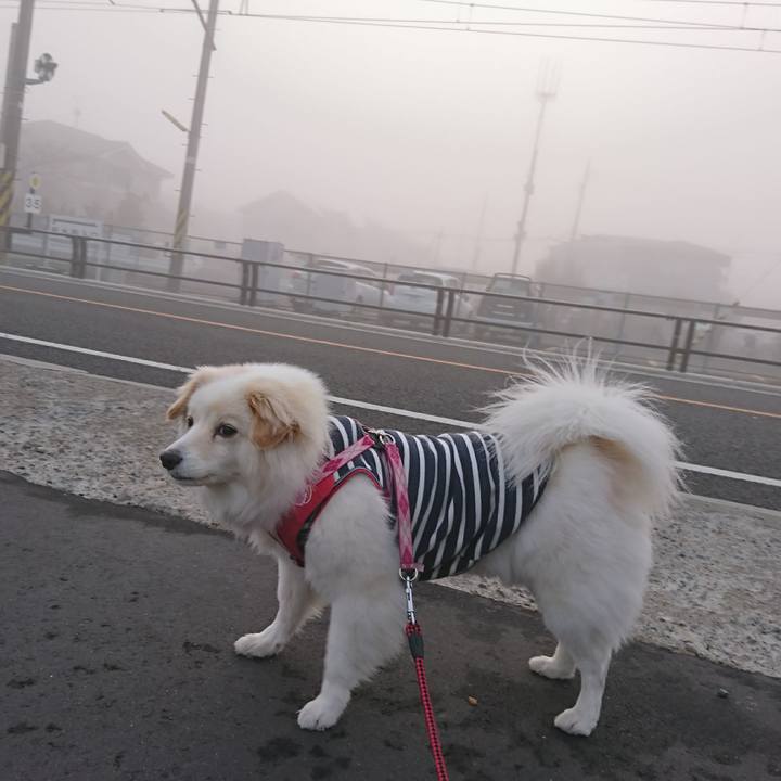 5e466e97 299b 4fb5 a958 5d1784eb7ba6