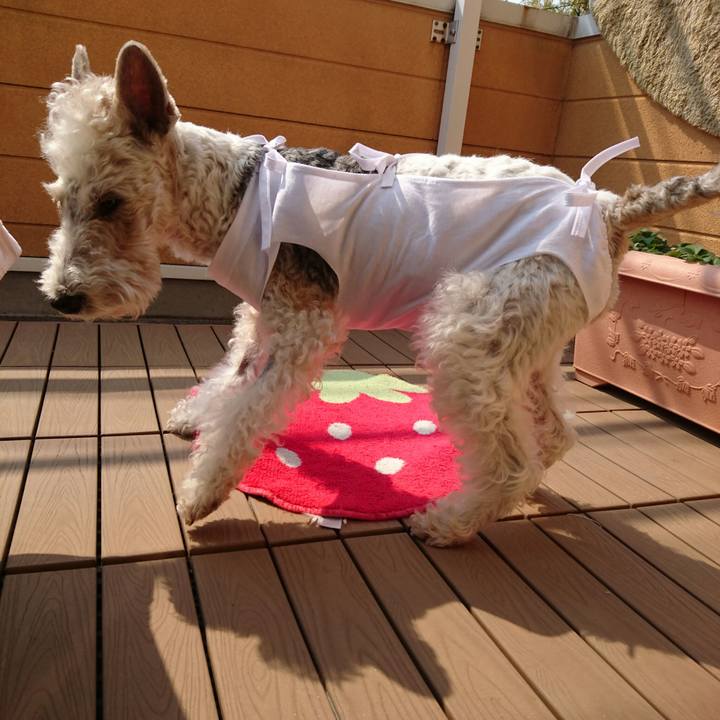 5e46cb8d dc3d 4915 9815 b7b0204a884b