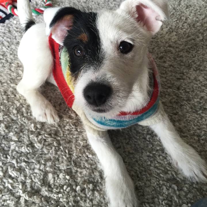 5e471413 dcc0 4a7c 8ea3 89ad12efc070