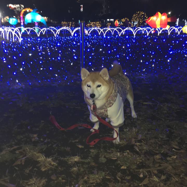 5e47394e c9cc 420b 8114 a7e9ef55663a