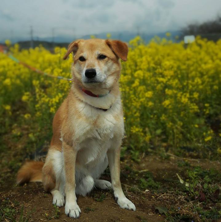 5e47681c 1493 400f 9270 06dbb13f3d58