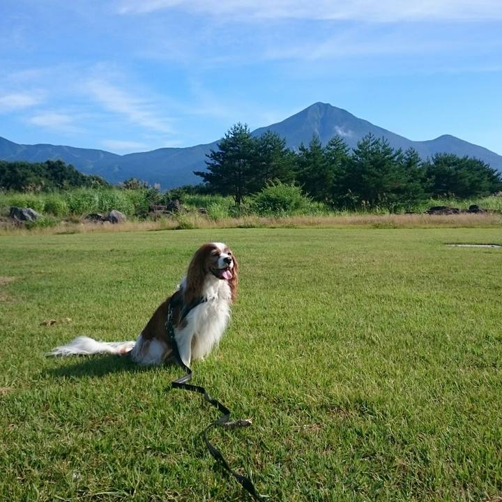 5e47ac2e 5ba4 4431 92d8 7f9e64c814d0