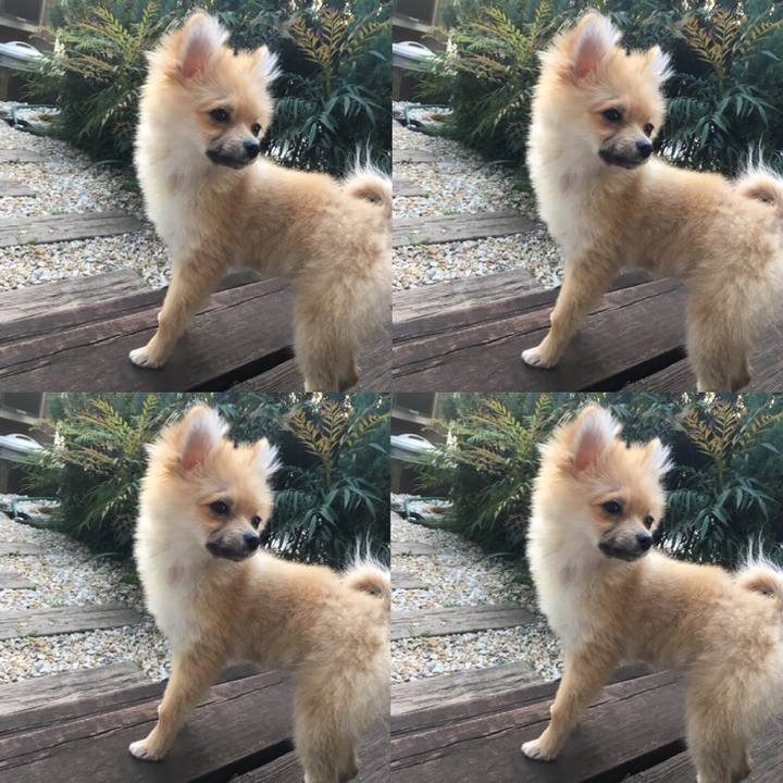 5e47cea2 4dd9 4955 91af ccfbdb7ebe9c