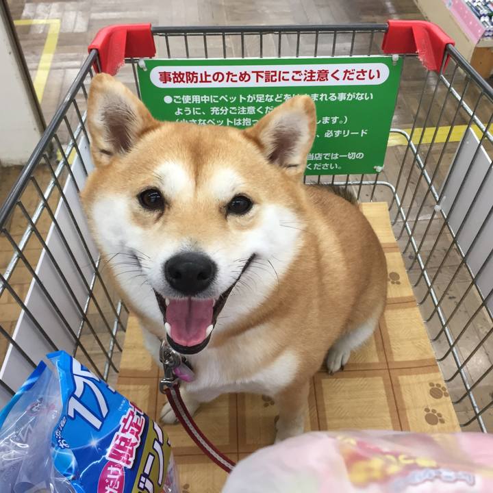 5e48239f 2134 4784 adec 7fdbfad07c71