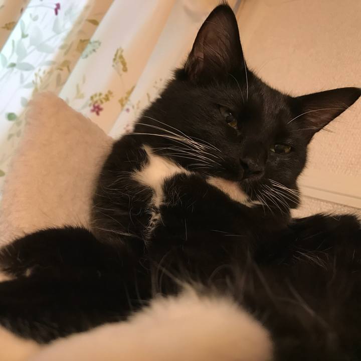 5e489f14 da6b 4f3d 9712 819655aea350