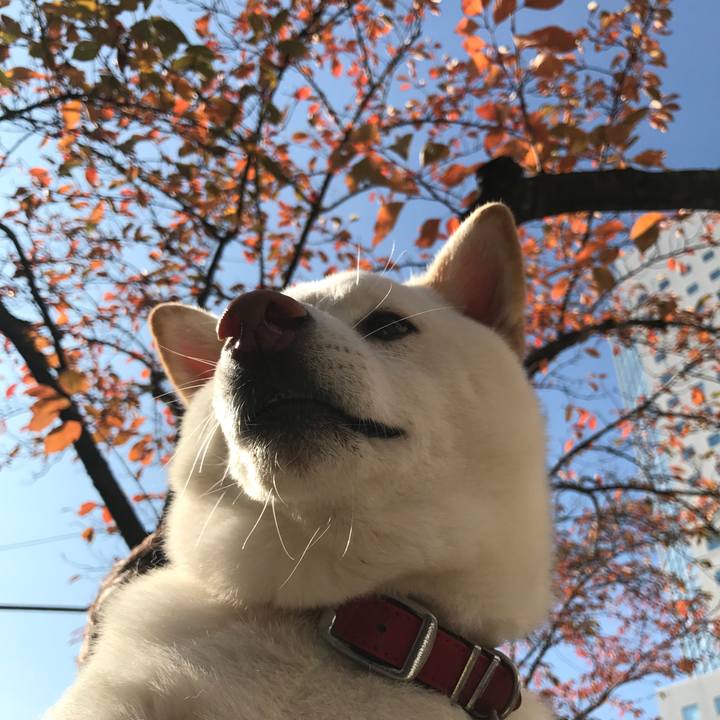 5e48e9d4 0316 4e7d a7b9 7a03439e2cbd