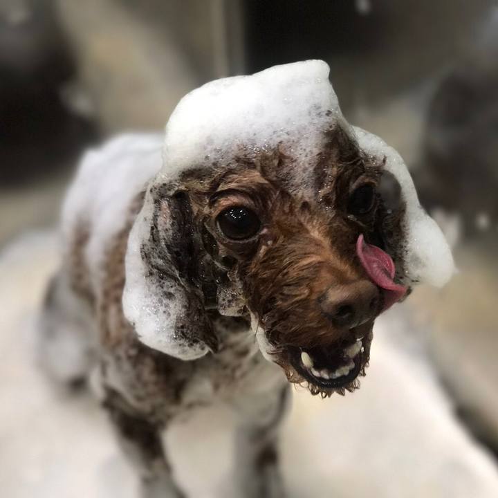 5e491a88 1170 4e4e 8b59 eff98cc6aba6