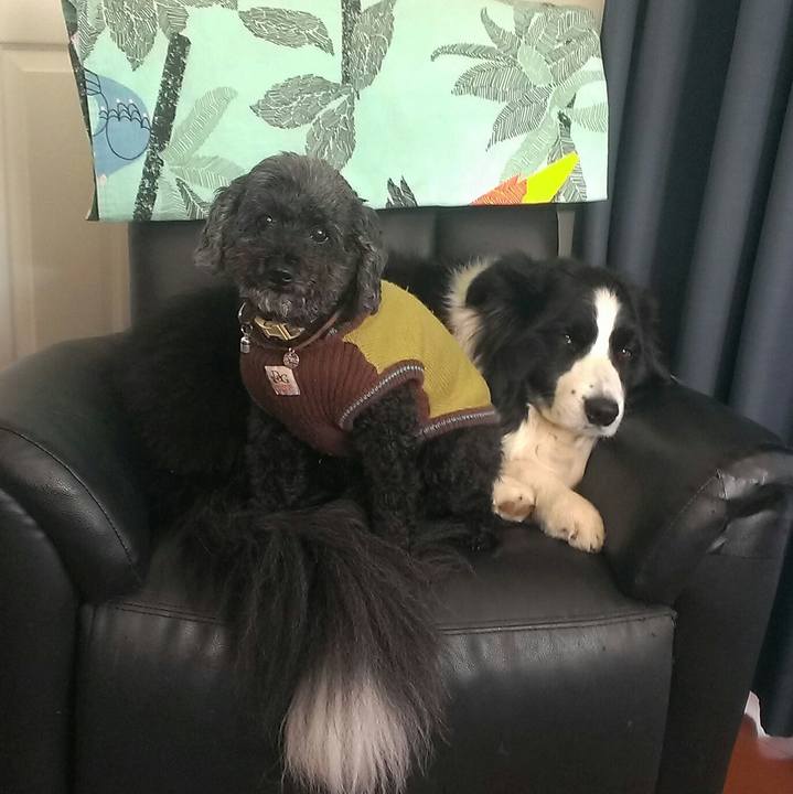 5e4a0df2 c18e 4899 8041 1b10c698636e