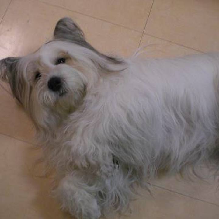 5e4a29cb 2e7e 4b8e 9208 69336e8624b0