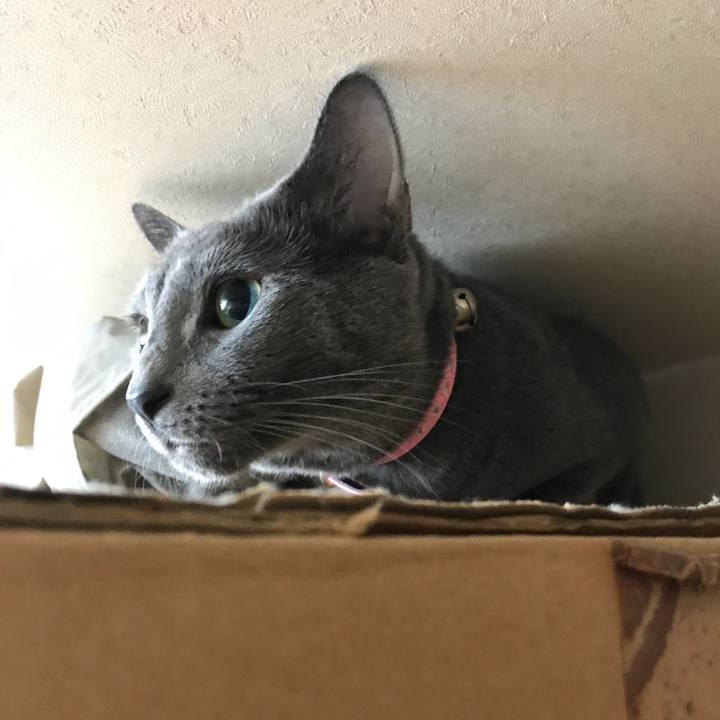 5e4a9276 67fe 4f58 bba1 8f6235df0447