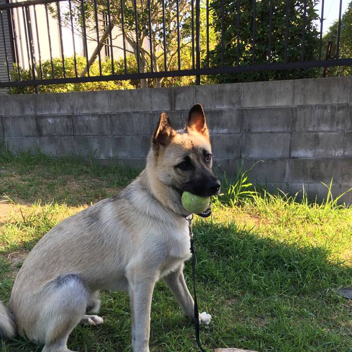 5e4a93ac 9f48 4cc7 a3c8 93416e93d922