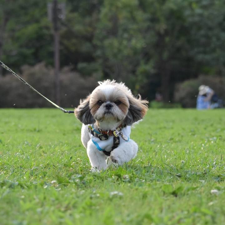 5e4a9a8c 3a18 4cfa 909c 6740af936a4e