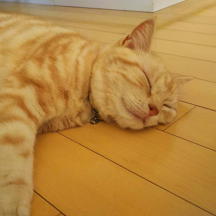 5e4af016 58d5 4166 9ec6 ec2fa5936c88