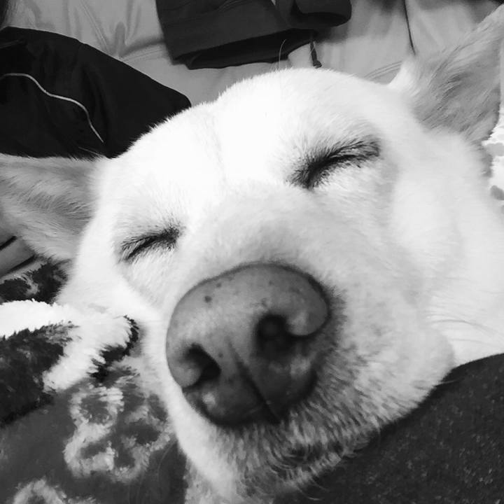 5e4af03b eeab 46e6 a584 5951b223b030