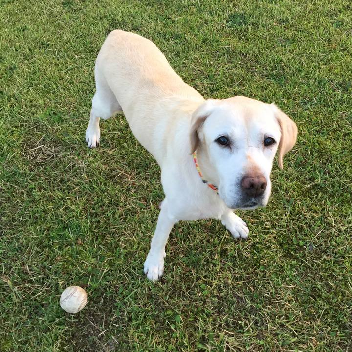 5e4b478d c9eb 4a28 9fd9 9d19d6552f7a