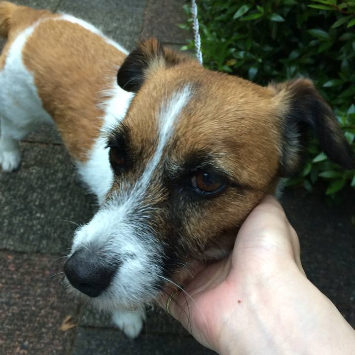 5e4b9b1d 3225 485b 9552 006cbfe620de