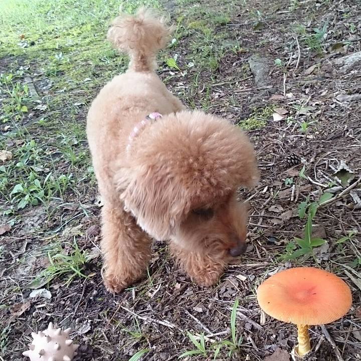 5e4be9f9 1bc9 49f3 82a3 45d9caa42f55