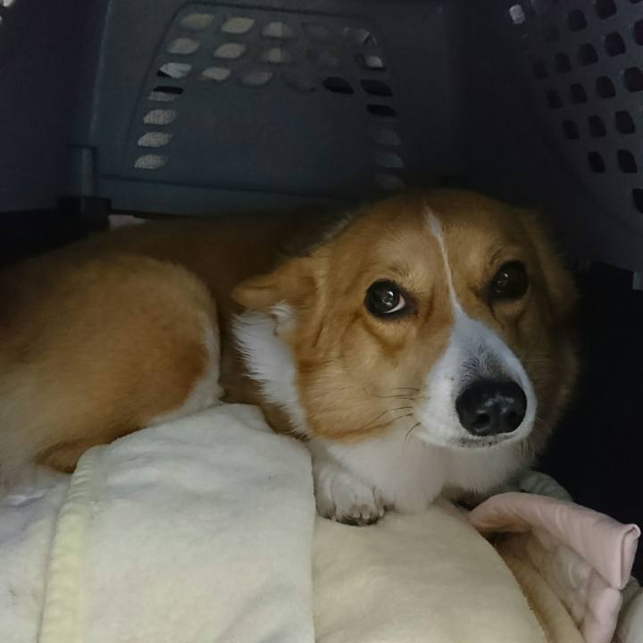 5e4bf39f e992 4f14 8423 bac1b388a53d