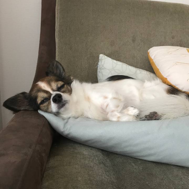 5e4c3fb7 86e6 4912 8d82 e5e1d16333ac