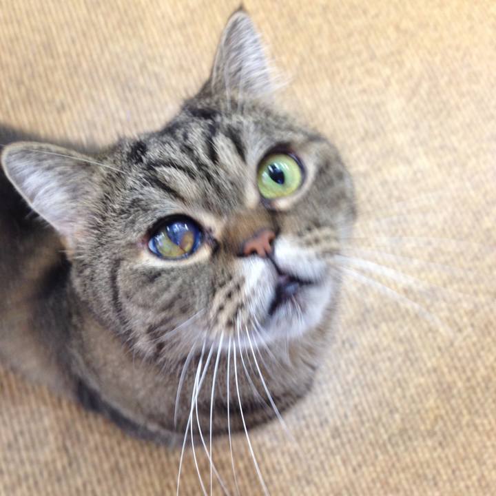 5e4c8602 877e 47d8 9436 8631a0388e7d