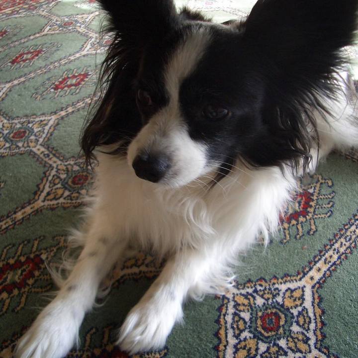 5e4c94f6 2190 4674 99ca 21b759918f1a