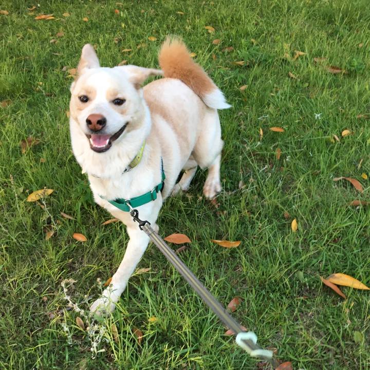 5e4d6826 22be 4c92 942f 9e5b3abb8a1c