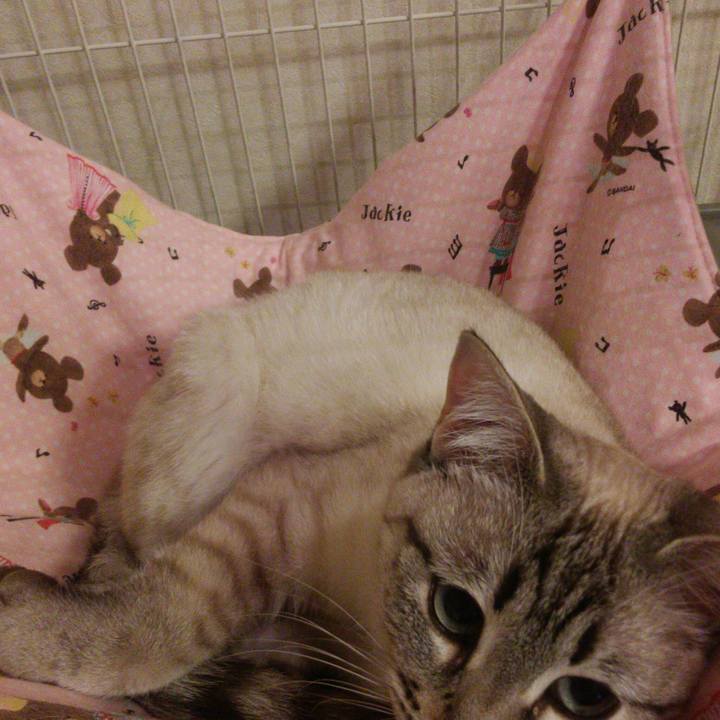 5e4d7461 6f6c 4a38 b18a f264d72a445e