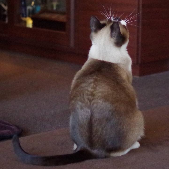 5e4d7f27 f67c 47ad 8578 92c30f1a1259