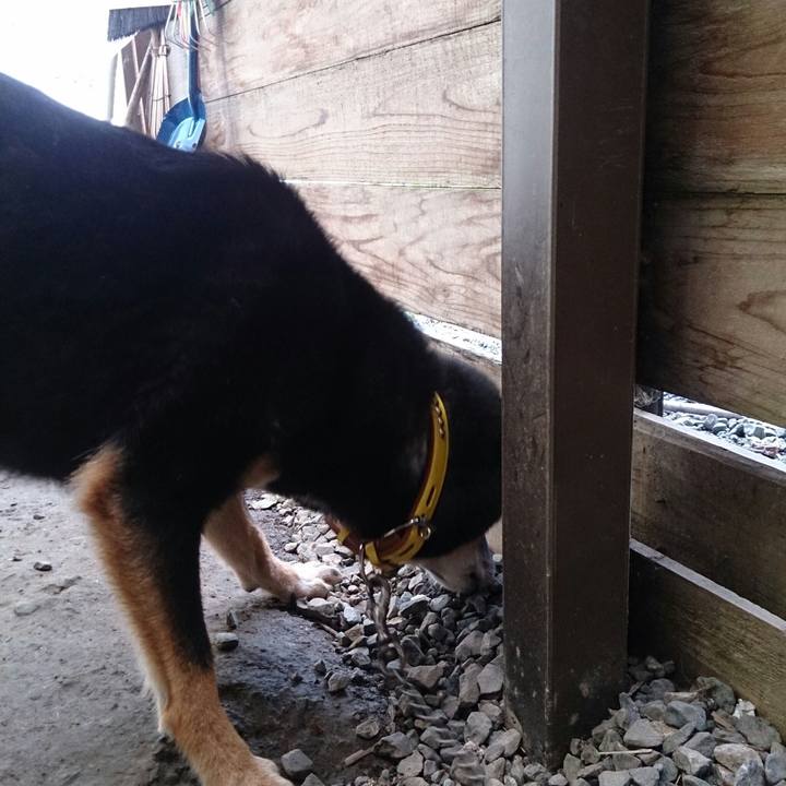 5e4deb6e 86d7 4032 93e3 ad25c8a530b0