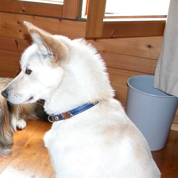 5e4e0039 9780 4517 97c7 e92b01a05e20