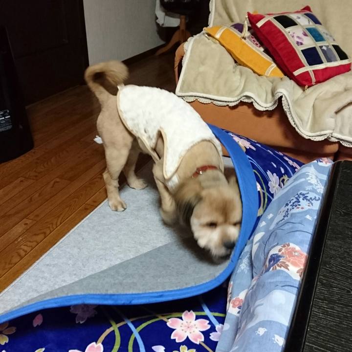 5e4e2134 f1e2 488d 9d70 8f778389ae9c