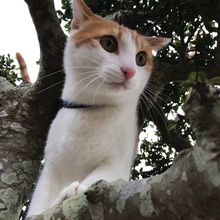 5e4e2843 a606 47f1 be42 f9cc8059973f