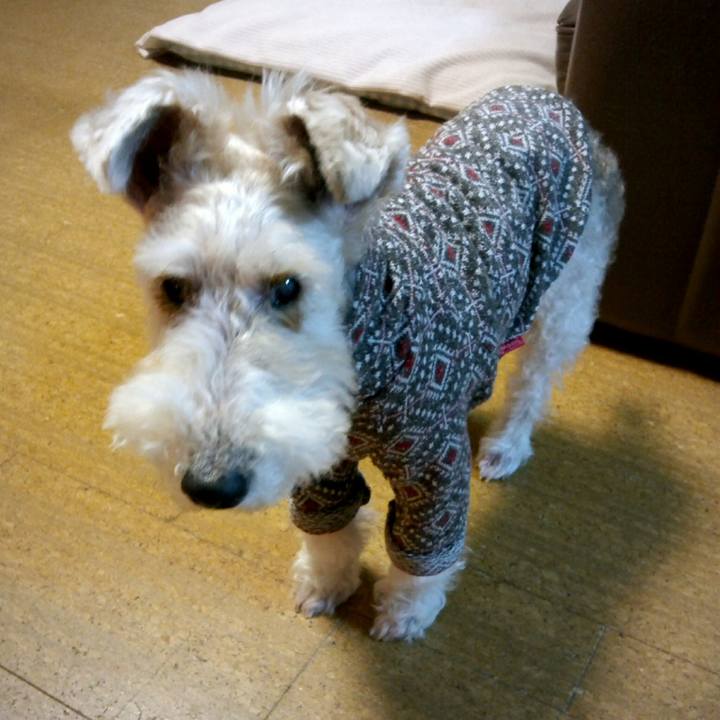 5e4e6dca ef80 469a 8e51 43abc330140d