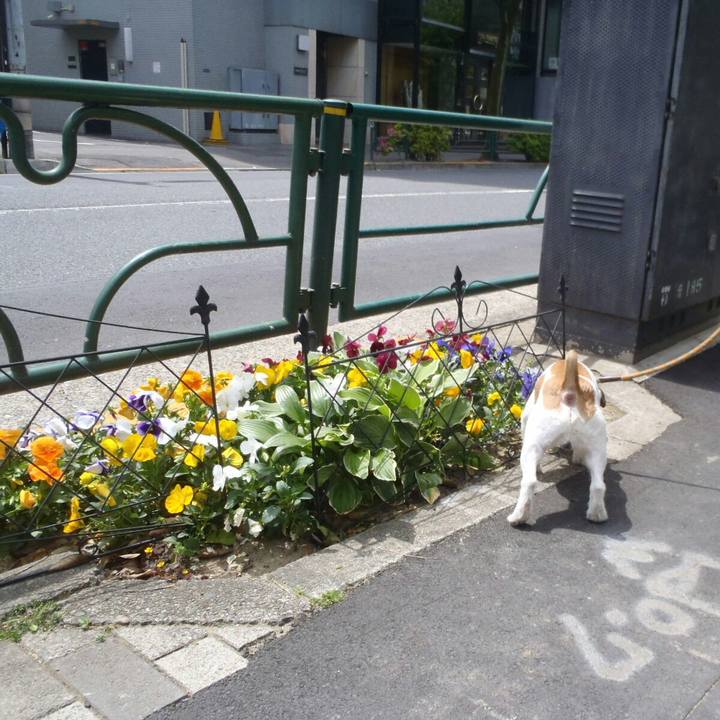 5e4f0fcb 711c 40fd b030 11dc0e2cb17d