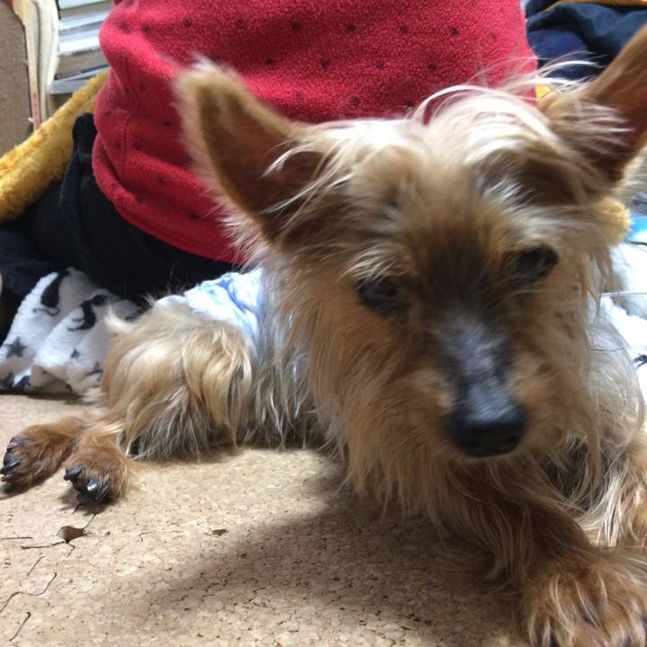 5e5097ae cc60 4d30 8ec4 60cc8d5badaa