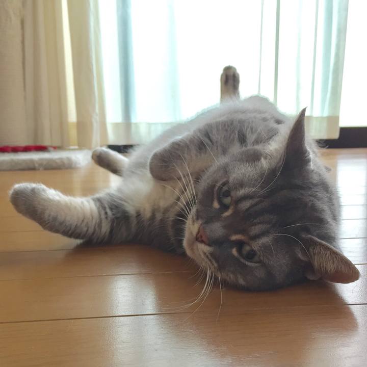 5e50ff33 e218 489c 9541 22d0d0580d54