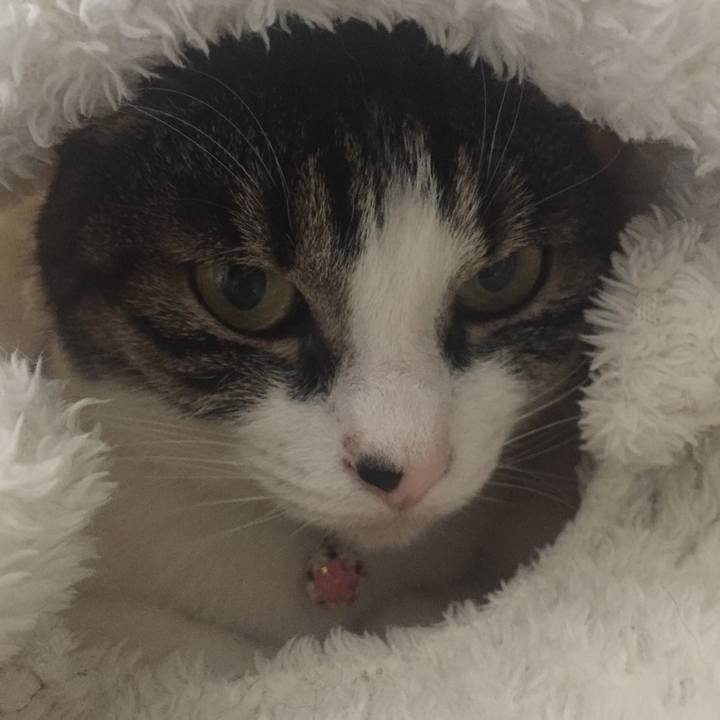 5e50ffee b6a5 42fd a106 64e1fc2be3b4