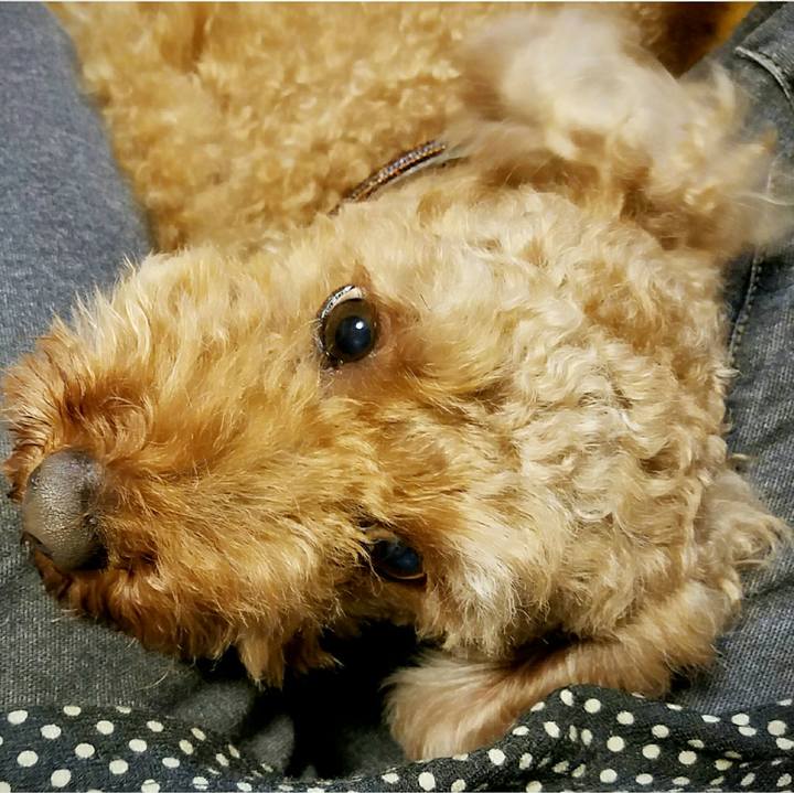 5e5122fc 996a 4c84 b670 e78ef1fa3ce3