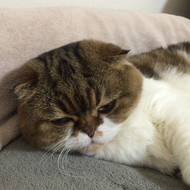 5e51c840 7b40 431b b212 cf07f9594837