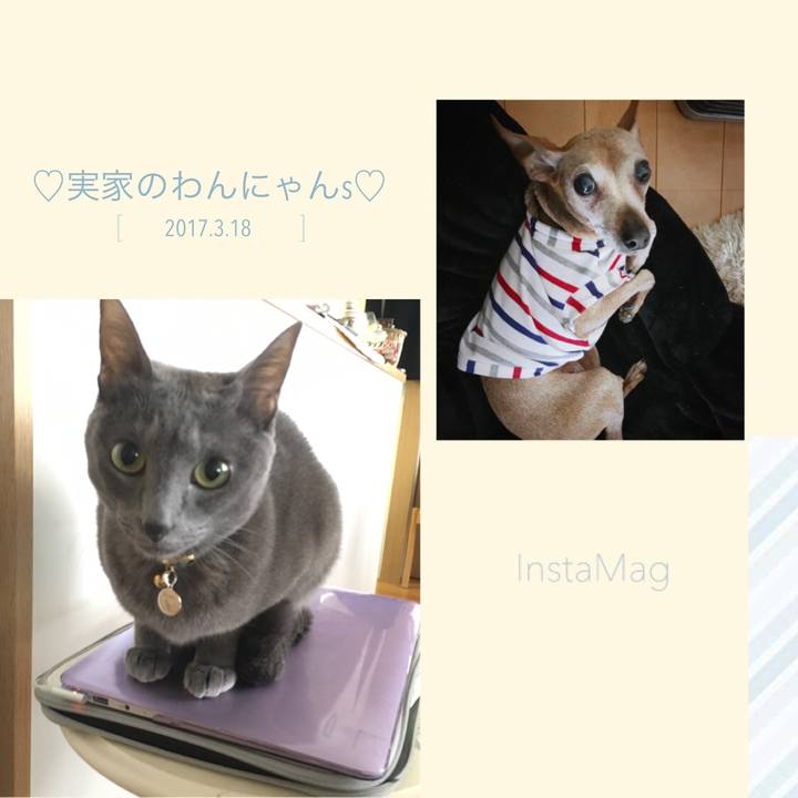 5e52218b 76ad 4ca8 bc4d b3b291d5f049