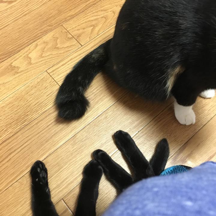 5e5274e0 3415 430d bfd8 aaae549bcb1a