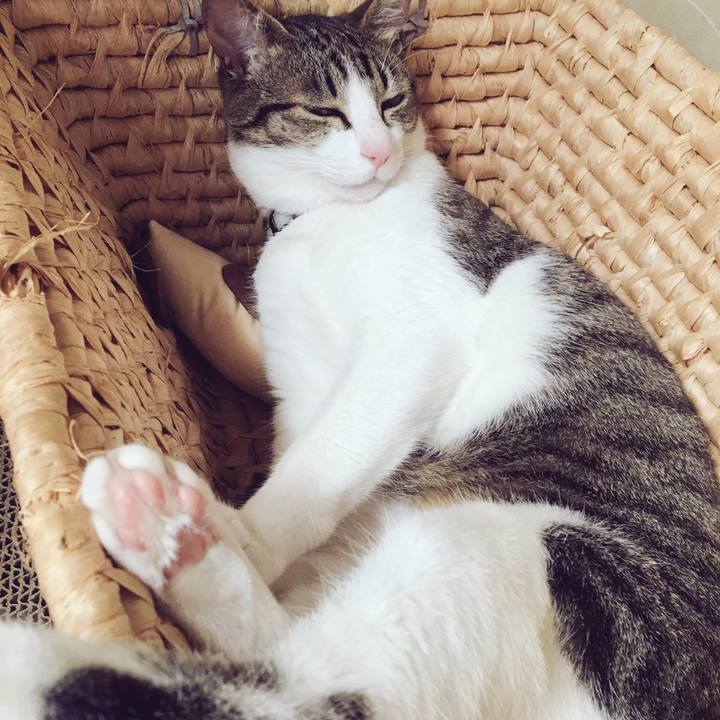 5e53102d 84d8 46f3 a623 96b1d0f5ac1c