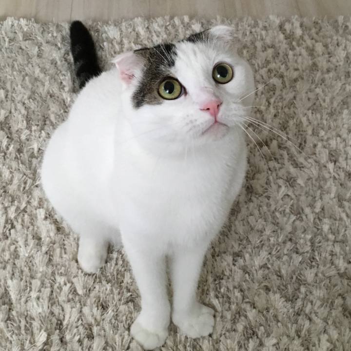 5e531614 456e 4c23 aae2 7e67c00bc6a0