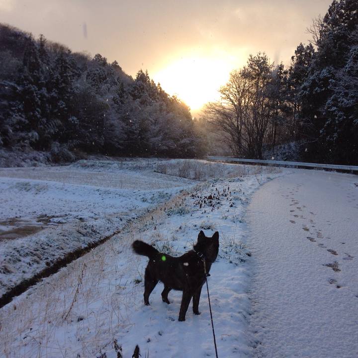 5e531eb1 c12a 40e7 b803 eb4fad6fc622