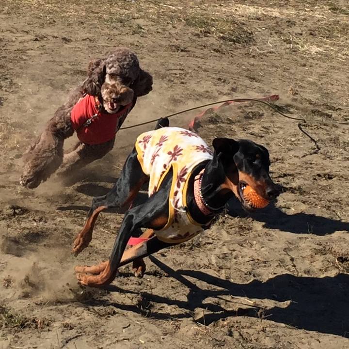 5e541dee f395 4838 aed7 9c5690f8fe8f