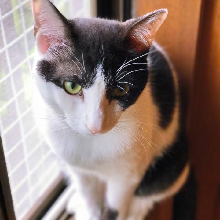 5e5430cd f12a 4178 a8cb 72ba61bdbb1b