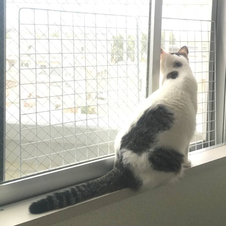 5e545eaf c384 4f1b 911d 8869fba46563