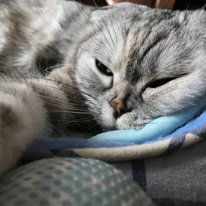 5e54accd 4a17 4b84 a54c 6cb51c8c8b2d