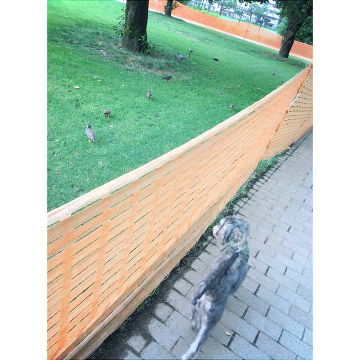 5e557069 575d 4c79 8f7f d4cc3d59ca67