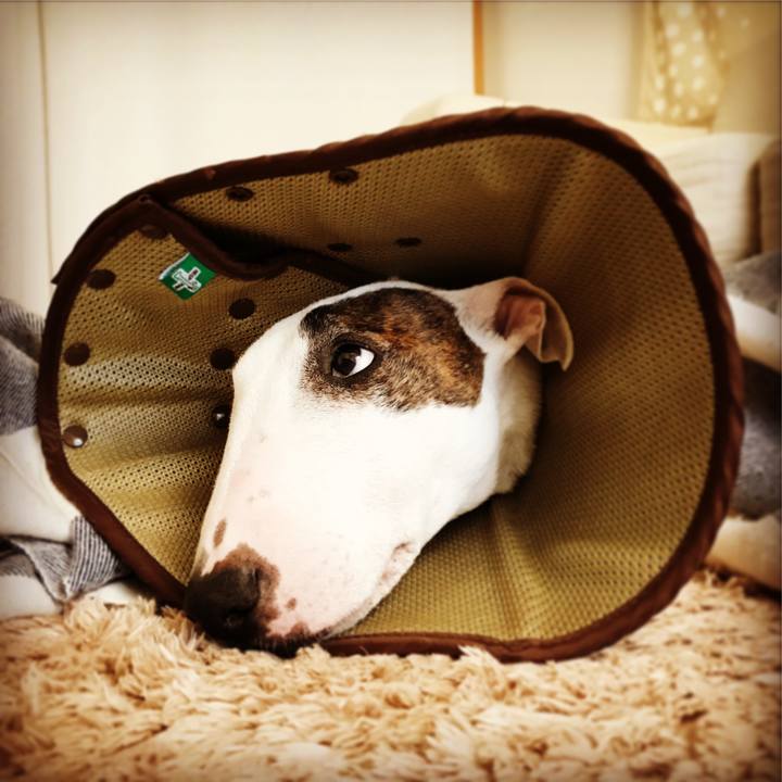 5e559fc8 aae3 4c0f a28e 0ecc1123f5c8